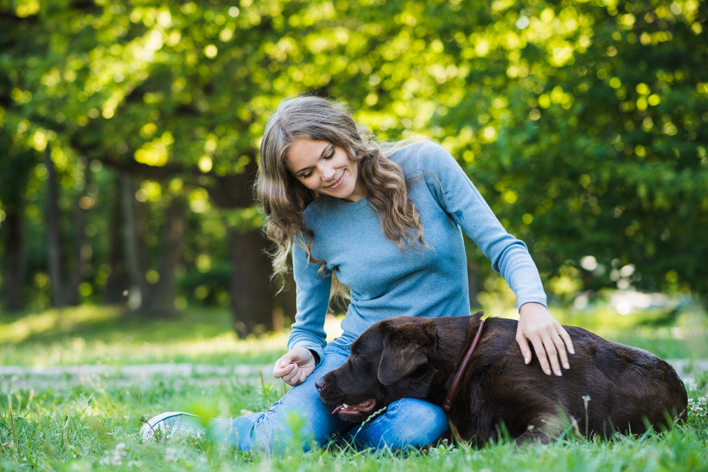 10 Tips for Keeping Your Dog Safe and Healthy - Pawfect Nation