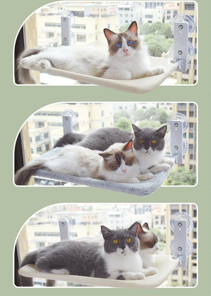 Cat Window Glass Hammock - Pawfect Nation