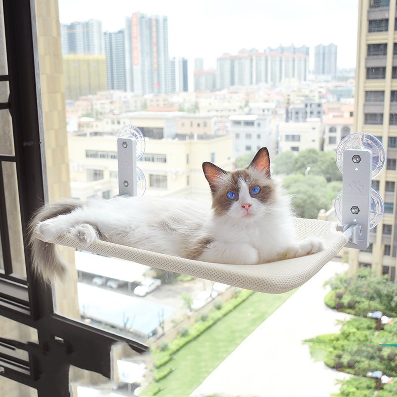 Cat Window Glass Hammock - Pawfect Nation