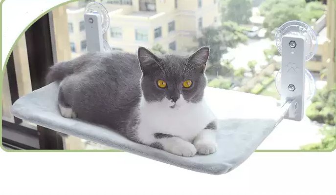 Cat Window Glass Hammock - Pawfect Nation