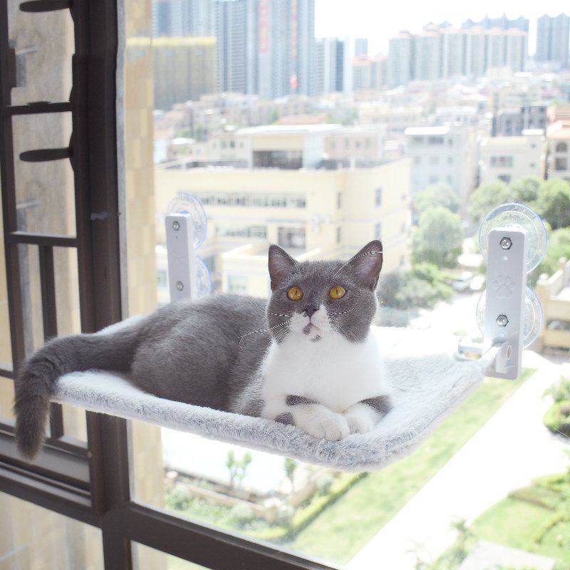 Cat Window Glass Hammock - Pawfect Nation