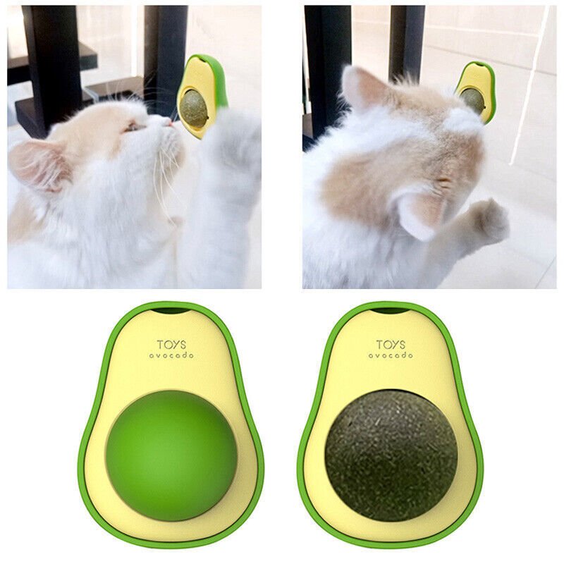 Cute Avocado Catnip Toys - Pawfect Nation