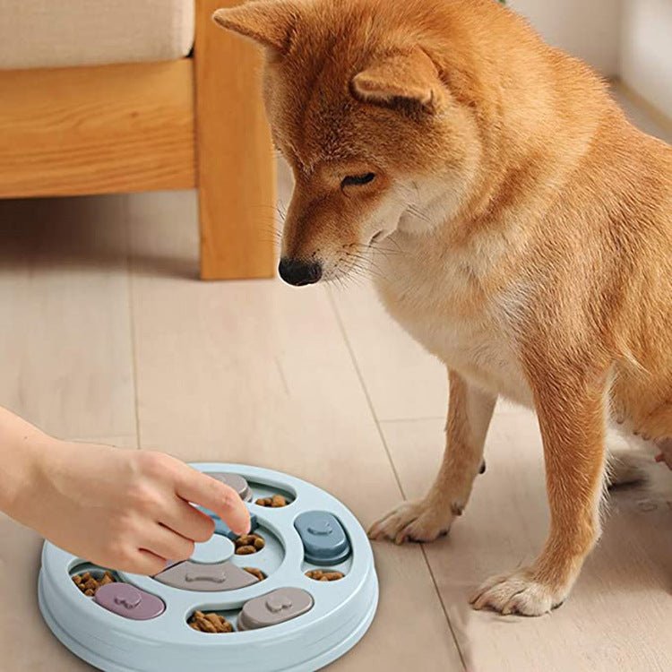 Dog Puzzle Feeding Bowls - Pawfect Nation