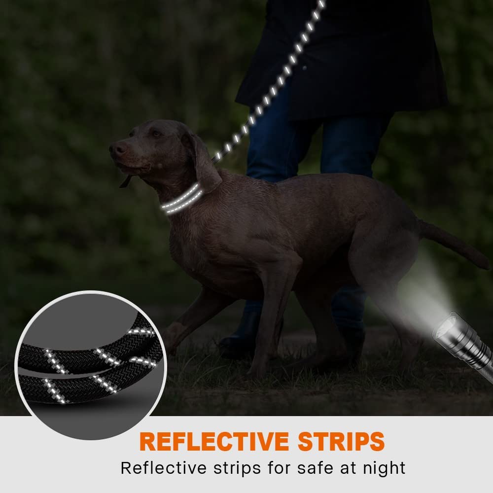 Elastic Hands-Free Dog Leash - Pawfect Nation