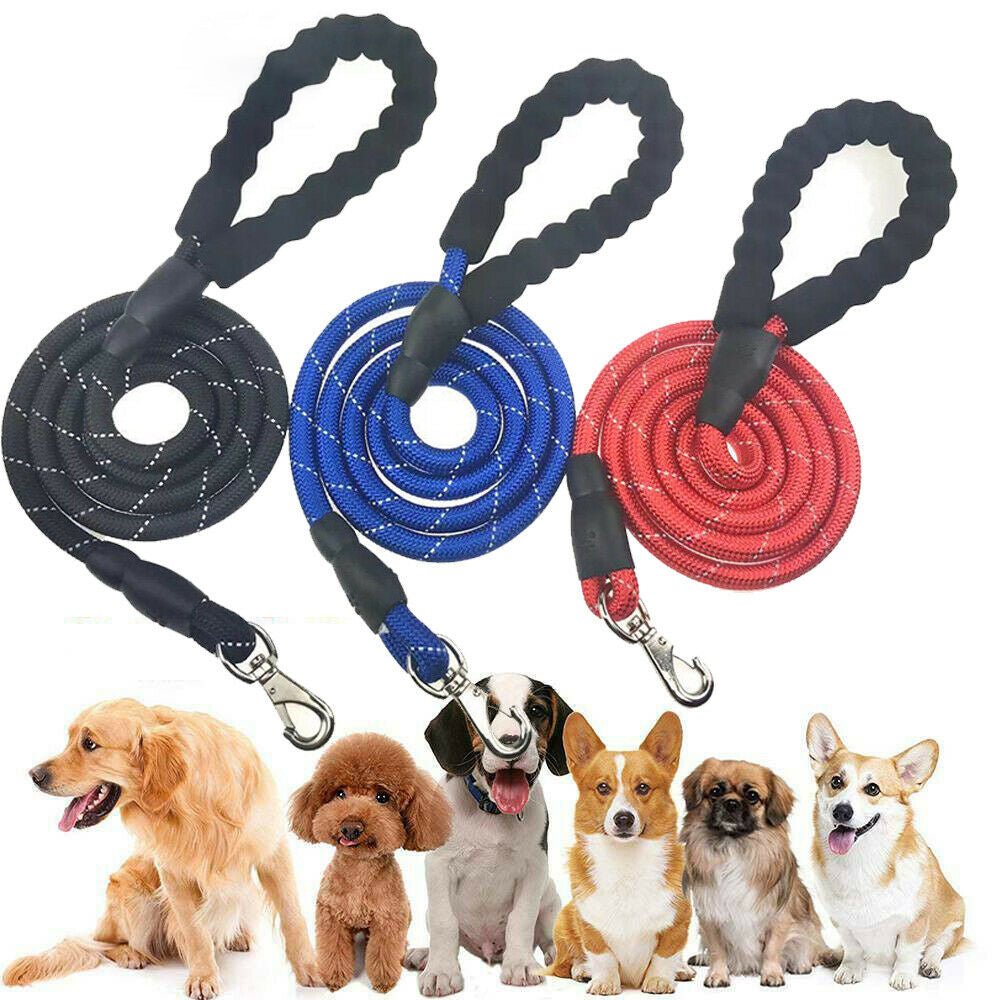 Elastic Hands-Free Dog Leash - Pawfect Nation