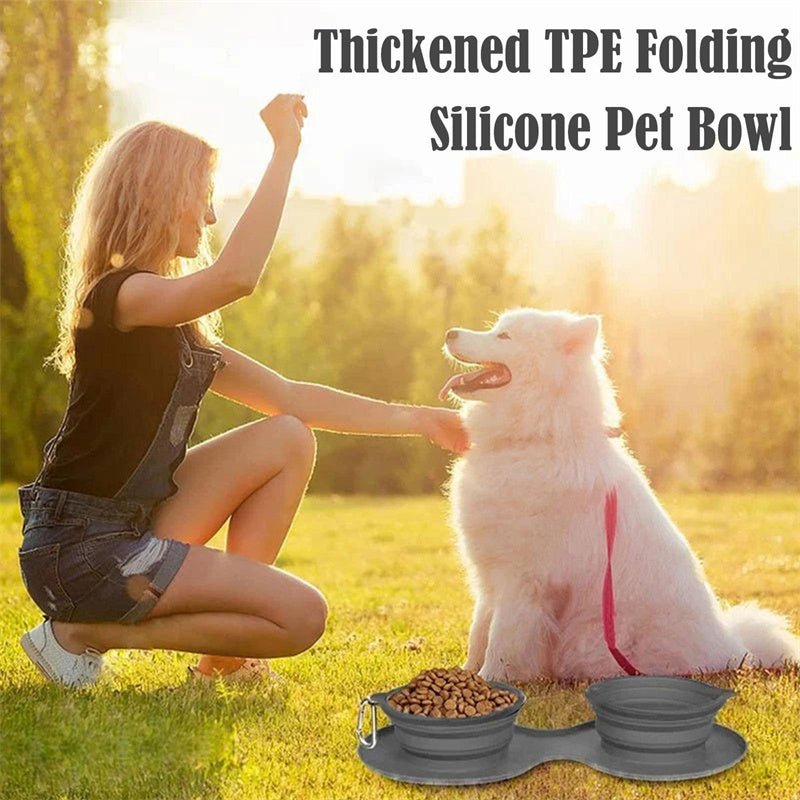 Foldable Rubber Double Pet Feeding Bowl - Pawfect Nation