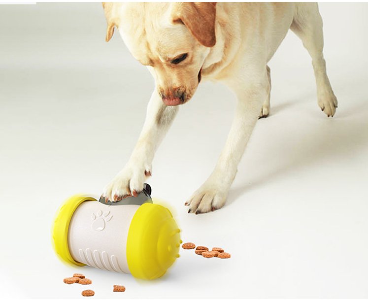 Interactive Dog Treat Toy with Leaking Wheel - Pawfect Nation