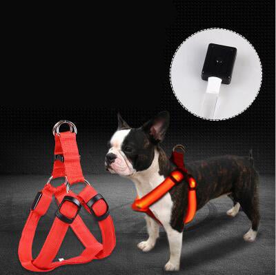 LED Luminous Dog Chest Strap and Leash Set - Pawfect Nation