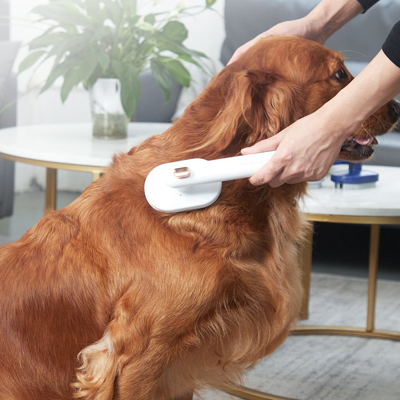 Self-Cleaning Pet Hair Removal Comb - Pawfect Nation