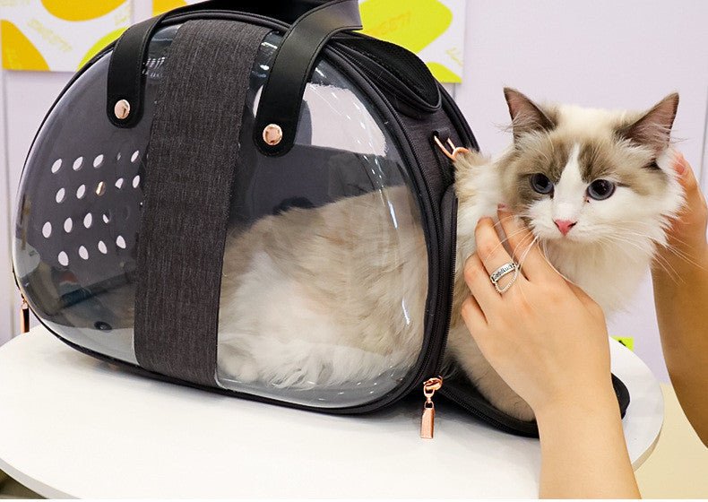 Transparent Double-Fish Dog and Cat Backpack - Pawfect Nation