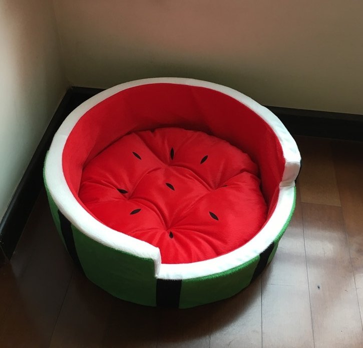 Watermelon Bed for Pets - Pawfect Nation