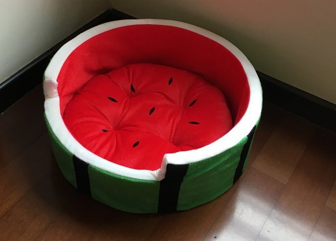 Watermelon Bed for Pets - Pawfect Nation